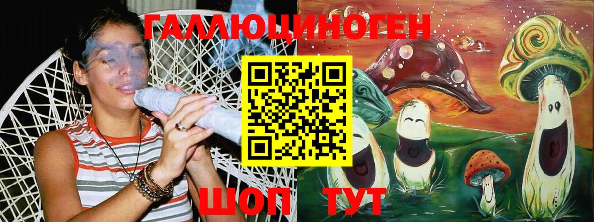 Псилоцибиновые грибы прущие грибы Кандалакша