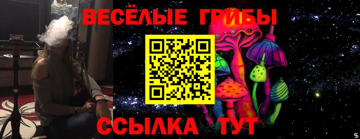 Кандалакша  Галлюциногенные грибы MAGIC MUSHROOMS  Вход с VPN  Галлюциногенные грибы мицелий 
